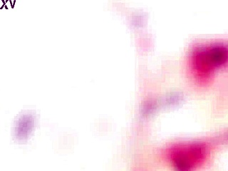 Anya Akulova endures rough balls deep anal dap gaping and swallows cum in lingerie