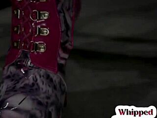 Curvy Blonde Dominates in Lingerie with Toys