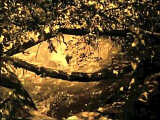 Dark Lantern Entertainment Unveils Vintage Tale of The Dragonfly