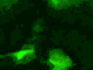 Can you handle this shemale's huge ass teasing you relentlessly?