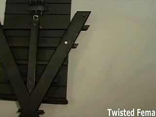 Mistress kicks your nut sack