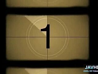 Japanese Beauties Showcase Lingerie in Volume 15