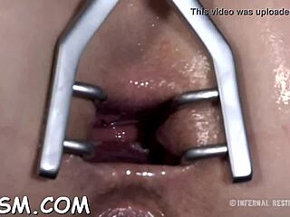 t a miniature hottie explores toys and blowjobs in bdsm play