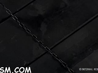 t a miniature hottie explores toys and blowjobs in bdsm play