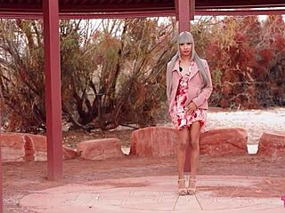 Tgirls explore big cocks wildly!