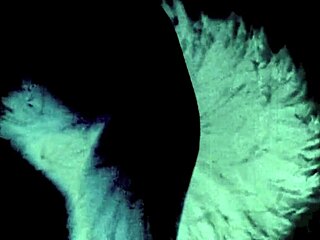 Dark Lantern Entertainment Unveils Erotic Confessions of a Victorian Gentleman at Home