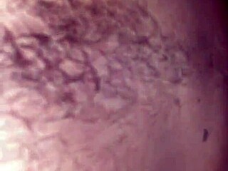 Sexo En La Cama Con Mi Perrita, Detallando Cada Movimiento Y Placer Intenso