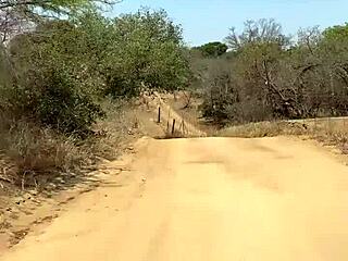 two blondes give double blowjob in south african public shower