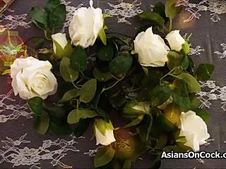 asian princess cosplay teen enjoys big cock blowjob and handjob in hardcore evening