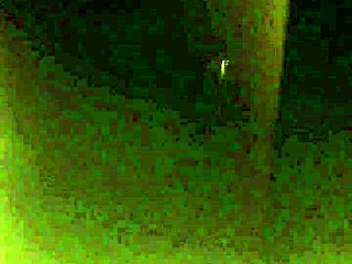 My sister-in-law and I share a story.