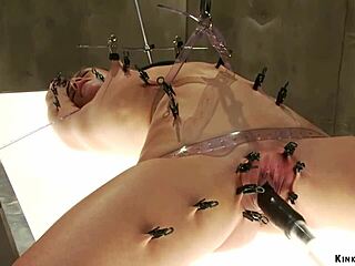 beautiful brunette trans woman on webcam showing off her body