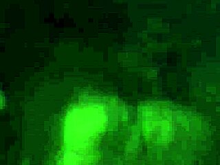 looking for singles with big dick to fuck hard, comment your favorite part