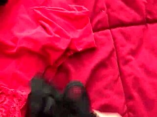 I'm going through my wife's sexy panties while she's at work.