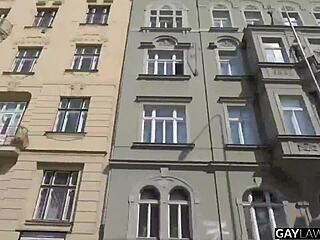 gaylawoffice twink tyler vonas takes raw lawyer cock bareback