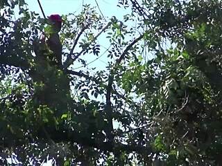 Mandy sky devours cock with rough blowjob and swallows cum