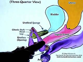 squirting tips - how i make a girl gush fast