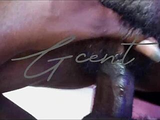 Mind-Blowing Close-Up Sex with Hairy Pussy and Massive BBC Action.