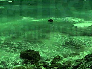 Melisa's Orgasms in Mexico with Wet Pussy and Ass Play