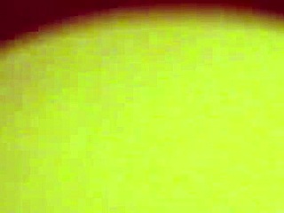 Oh, Lola Vinci Bent Over in Doggystyle Blowjob!