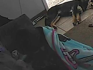 【素人ハメ撮り】金髪ギャル脱いだらエロボディにおじチンピストン大量発射