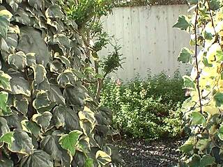 Japanese Outdoor Exposure Training Gets Wild and Naughty