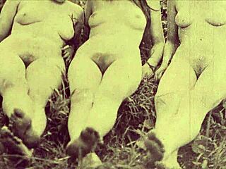 Vintage Lesbians Explore Hairy Pussies In Retro Group Sessions