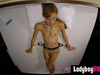 Mean Lean Pretty Asian Ladyboy Slut Sakura Is Back For Rough Blowjob!