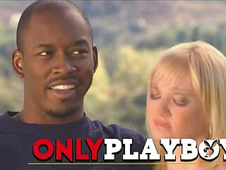 Sizzling duos engage in an uninhibited swinger group sex session with fresh partners.