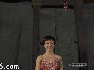 I-I got punished hard in BDSM gangbang with Stella Raee, so rough!