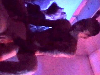 Petite latina marie bent over taking dick doggystyle