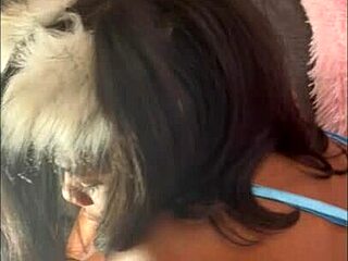 Oreopetite's first anime trailer adventure