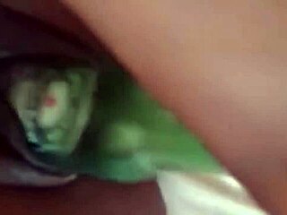 Amateur girl sends homemade video of self-pleasure with bottle