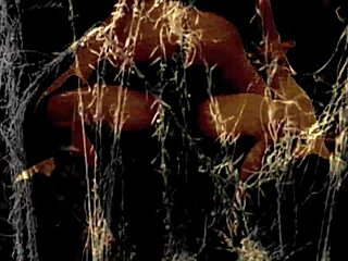 vintage british european antique retro old pornography