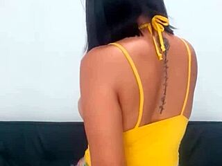 Brunette Stepsister Masturbates with Dildo on Webcam Until Pussy Squirts Cum