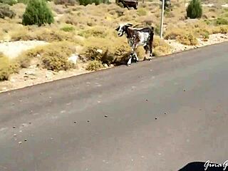 We Are Still In Greece With Blonde Teens