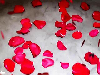 Ready for Christmas with Bareback Brazilian Hardcore Action?