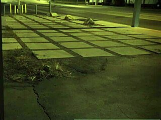 Blonde teen gets punished with anal in garage!