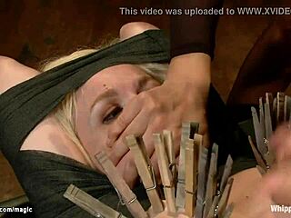 Is The Waxed Ass Lesbian Slave Ready For Whipping?