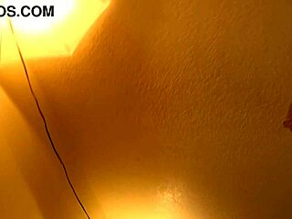 vivian vee gets rough anal pov on the sofa