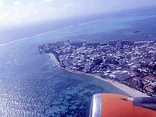 amateurs doing oral sex with big tits in hotel