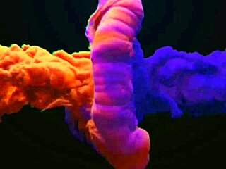 Tesão no busão pra SP! Bianca toca flauta de novo. Quer ver mais no XV Red? Veja como ela se entrega no anal com tesão. Quem resiste a essa brasileira?