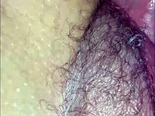 Amateur Compilation of Various Scenes