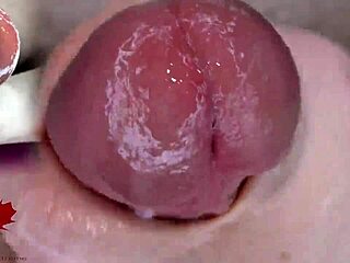 超级特写龟头扩张器狂玩游戏