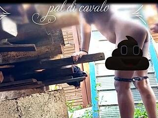 At my friend's anniversary, I hooked up with his hot partner in the backyard