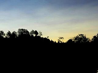 She licks my dick, then I bang her hard