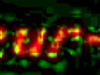 portraits of ton with african women