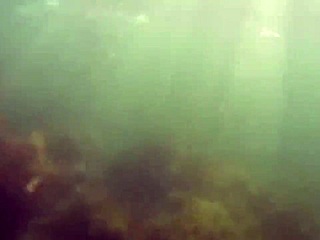 crazy diver films my hairy pussy flash in sea