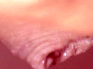 Petite Latina sucks cock in POV, cumming in mouth during holiday close-up.