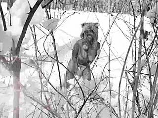 Nina Rivera, having fun with Don Whoe in snow?