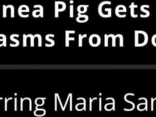 maria santos experiences forced orgasms in florida hospital